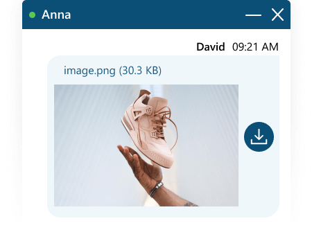 Ihre Kunden können Screenshots direkt aus ihrer Zwischenablage senden Screenshot-Vorschau